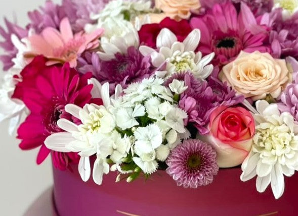 Blush and Bloom