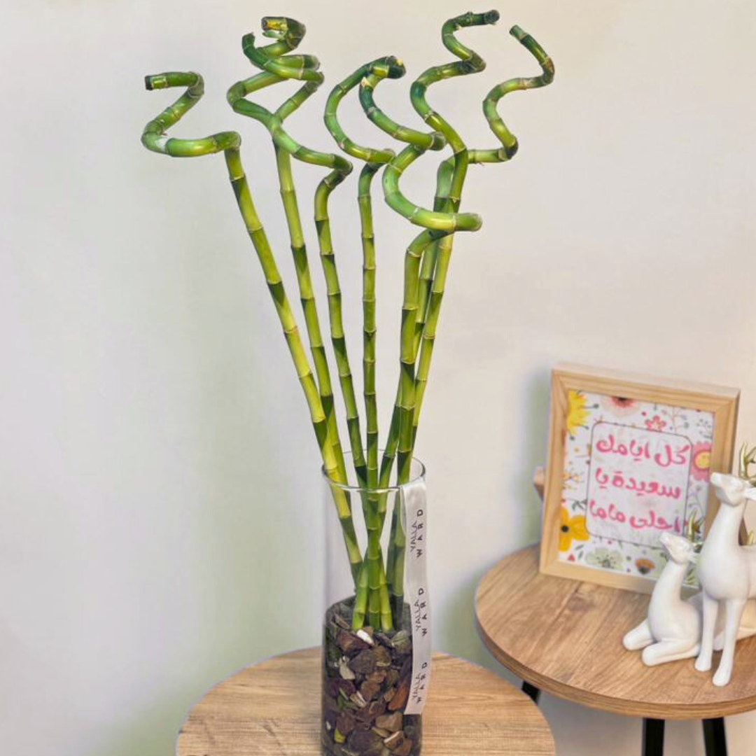 Bamboo Vase
