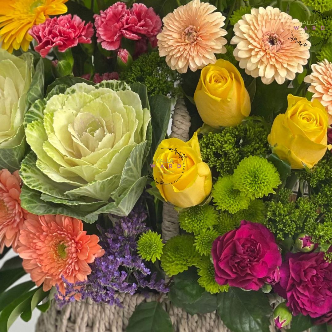 Colorful bouquet of flowers including roses, daisies, and other varieties on a white background