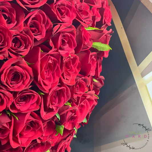 ورد الفالنتاين في الأردن