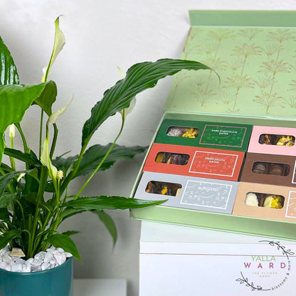 Chocolate box with colorful packaging next to a potted plant on a white surface