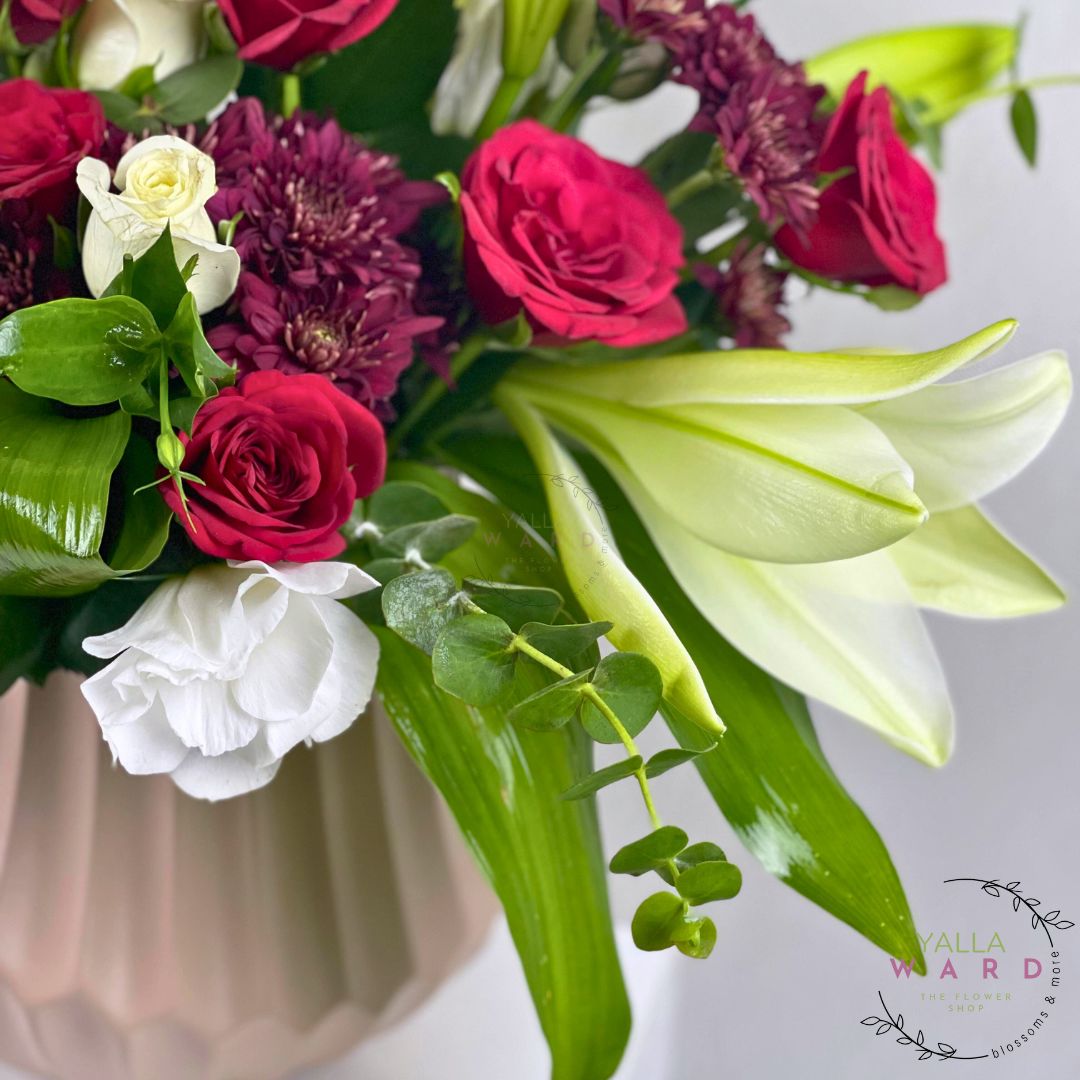 Bouquet of red and white, flowers with green leaves in a clear vase on a light gray background.