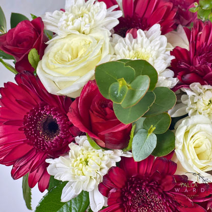 red and white flowers with green leaves on a light background