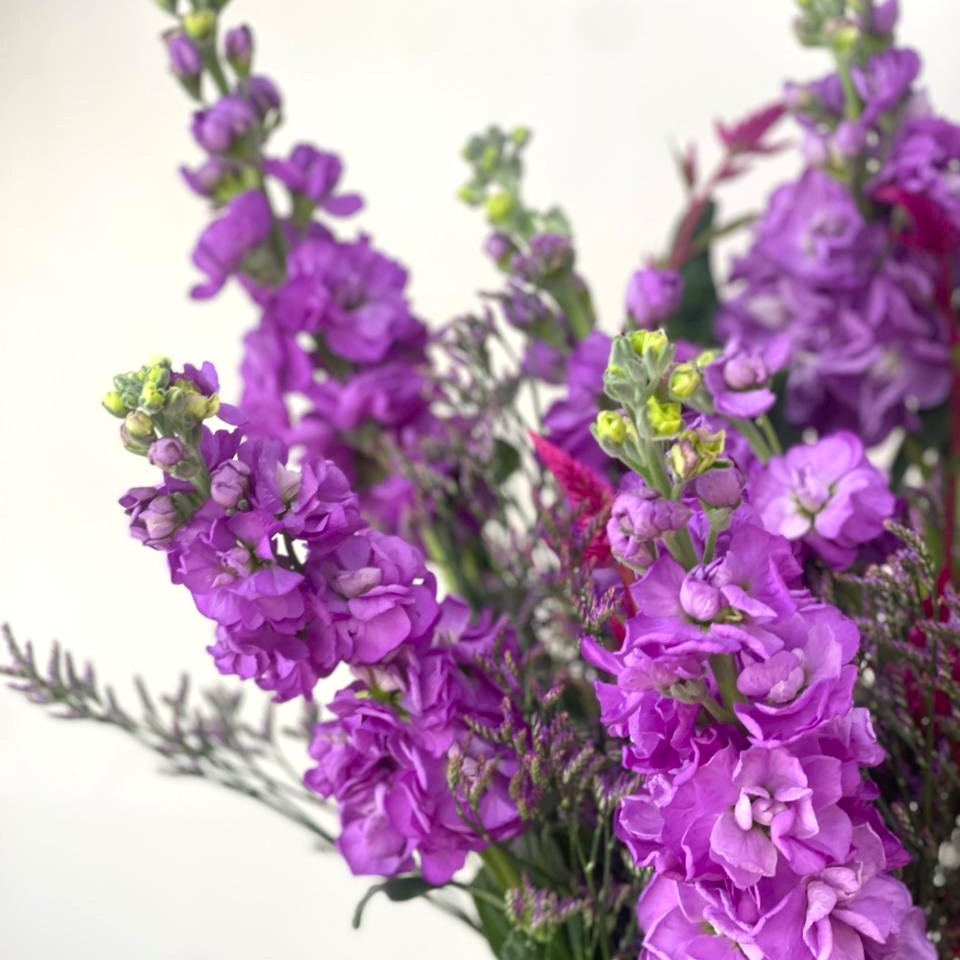 Purple Love