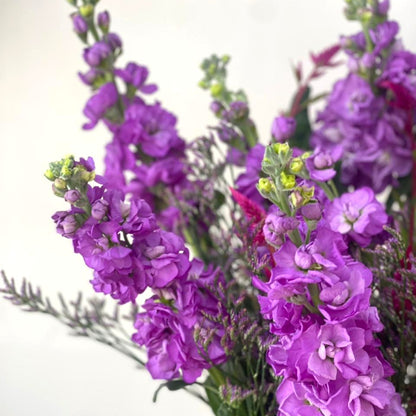 Purple Love