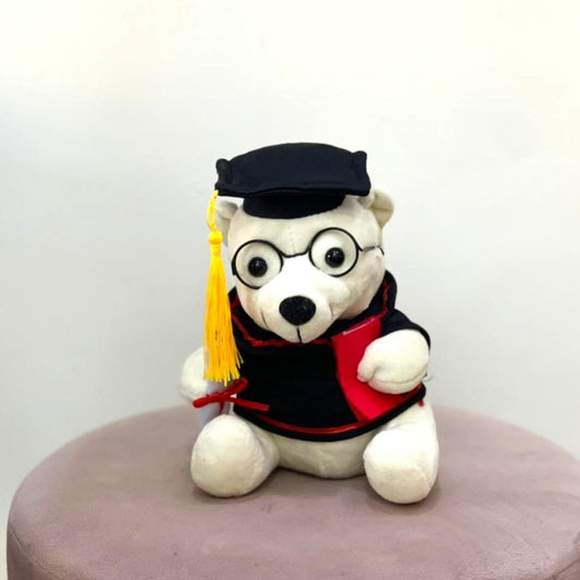 White Graduation Teddy Bear