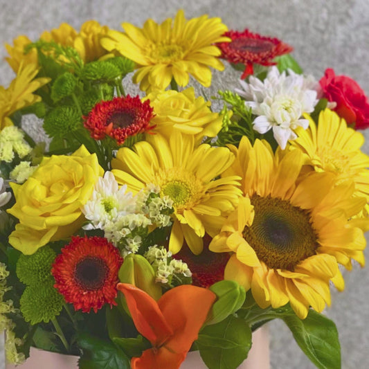 Sunny Sweetness