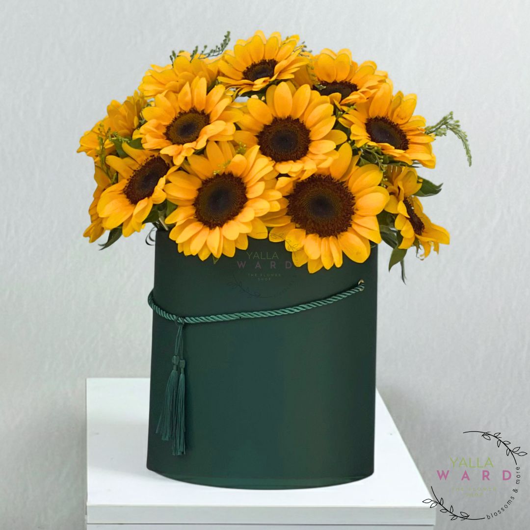 The Full Sunflower Box